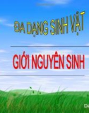 Sinh giới nguyên sinh