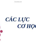 Bài giảng Các lực cơ học