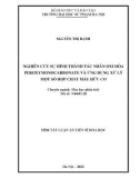 Tóm tắt Luận án Tiến sĩ Hóa học: Nghiên cứu sự hình thành tác nhân oxi hóa peroxymonocarbonate và ứng dụng xử lý một số hợp chất màu hữu cơ