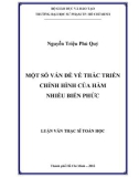 Luận văn Thạc sĩ Toán học: Một số vấn đề về thác triển chỉnh hình của hàm nhiều biến phức