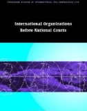 International Organizations Before National Courts Part 1