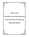 TIỂU LUẬN: Tình hình sản xuất kinh doanh của công ty Đá Quý Việt Nhật trong những năm gần đây