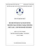 Khóa luận tốt nghiệp: Rủi ro tín dụng tại Ngân hàng thương mại cổ phần Ngoại Thương Việt Nam – Chi nhánh Hồ Chí Minh