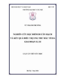 Luận án Tiến sĩ Y học: Nghiên cứu đặc điểm di căn hạch và kết quả điều trị ung thư hắc tố da giai đoạn II, III