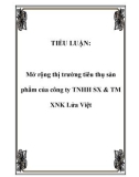 TIỂU LUẬN: Mở rộng thị trường tiêu thụ sản phẩm của công ty TNHH SX & TM XNK Lửa Việt