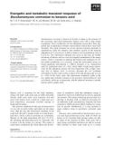 Báo cáo khoa học: Energetic and metabolic transient response of Saccharomyces cerevisiae to benzoic acid