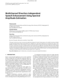 Báo cáo hóa học: Multichannel Direction-Independent Speech Enhancement Using Spectral Amplitude Estimation Thomas Lotter