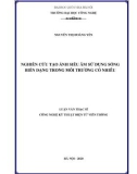 Luận văn Thạc sĩ Công nghệ kỹ thuật viễn thông: Nghiên cứu tạo ảnh siêu âm sử dụng sóng biến dạng trong môi trường có nhiễu