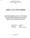 Khóa luận tốt nghiệp: Giải pháp mở rộng cho vay tiêu dùng tại Ngân hàng Thương mại Cổ phần Đông Nam Á (SeaBank) Láng Hạ