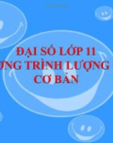 Bài giảng Đại số 11 chương 1 bài 2: Phương trình lượng giác cơ bản