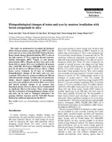 Báo cáo khoa học: Histopathological changes of testes and eyes by neutron irradiation with boron compounds in mice