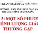 Bài giảng Một số phương trình lượng giác thường gặp - Đại số 11 - GV. Trần Thiên