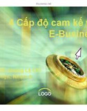 Thuyết trình: 4 Cấp độ cam kết với E-Business