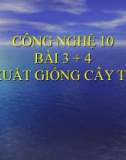 Bài giảng Công nghệ 10 bài 3: Sản xuất giống cây trồng