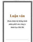 Luận văn: Hoàn thiện hệ thống kênh phân phối của công ty bánh kẹo Hải Hà