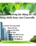 Tiểu luận: Phân tích môi trường tác động tới việc xây dựng chiến lược của Caravelle