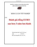 Luận văn: Đánh giá đồng EURO sau hơn 3 năm lưu hành