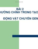 BÀI 2 CÁC HƯỚNG CHÍNH TRONG TẠO GIỐNG ĐỘNG VẬT CHUYỂN GEN