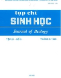 Tạp chí Sinh học: Tập 21 - Số 3 (Tháng 9 - 1999)