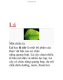 Tài liệu: Lá