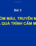 Bài 3: Nhóm máu, truyền máu và quá trình cầm máu