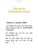 Nấm sợi (tt) (Filamentous Fungi)