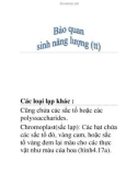 bào quan sinh năng lượng (tt)