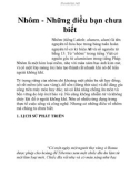 Nhôm - Những điều bạn chưa biết