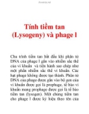 Tính tiềm tan (Lysogeny) và phage l