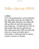 Dấu vân tay DNA