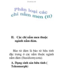 phân loại các chi nấm men (tt)