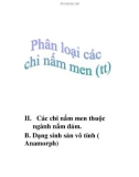 phân loại các chi nấm men (tt)