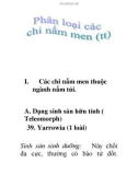 phân loại các chi nấm men (tt)