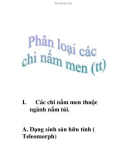 phân loại các chi nấm men (tt)