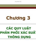 Bài giảng Chương 3: Các quy luật phân phối xác suất thông dụng