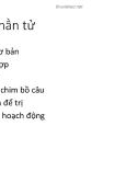 Bài giảng Toán rời rạc: Đếm các phần tử - TS. Nguyễn Đức Đông