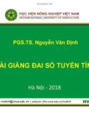 Bài giảng Đại số tuyến tính: Chương 1 - PGS.TS. Nguyễn Văn Định