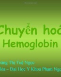 Bài giảng Chuyển hóa Hemoglobin - ThS.BS.Hoàng Thị Tuệ Ngọc