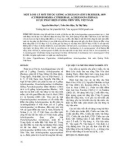 Một loài cá mới thuộc giống Acheilognathus bleeker, 1859 được phát hiện ở sông Tiên Yên, Việt Nam