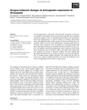 Báo cáo khoa học: Oxygen-induced changes in hemoglobin expression in Drosophila