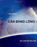 CHƯƠNG 7 CÂN BẰNG LỎNG – RẮN