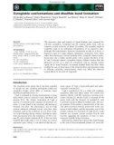 Báo cáo khoa học: Cytoglobin conformations and disulﬁde bond formation