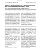 Báo cáo khóa học: Mutations in the hydrophobic core and in the protein–RNA interface affect the packing and stability of icosahedral viruses