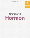 Bài giảng Hóa sinh - Chương 13: Hormon