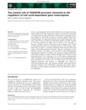 Báo cáo khoa học: The central role of CDE/CHR promoter elements in the regulation of cell cycle-dependent gene transcription