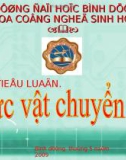 Thực vật chuyển gen