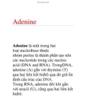 Adenine