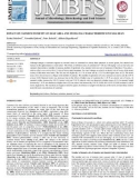 Impact of cadmium toxicity on leaf area and stomatal characteristics in faba bean