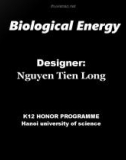 Bio Logical Energy