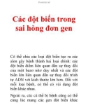 Tài liệu: Các đột biến trong sai hỏng đơn gen